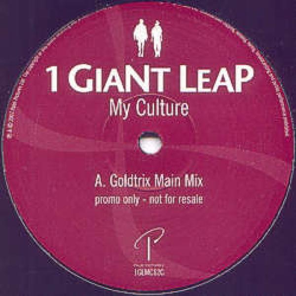 1 Giant Leap - My Culture