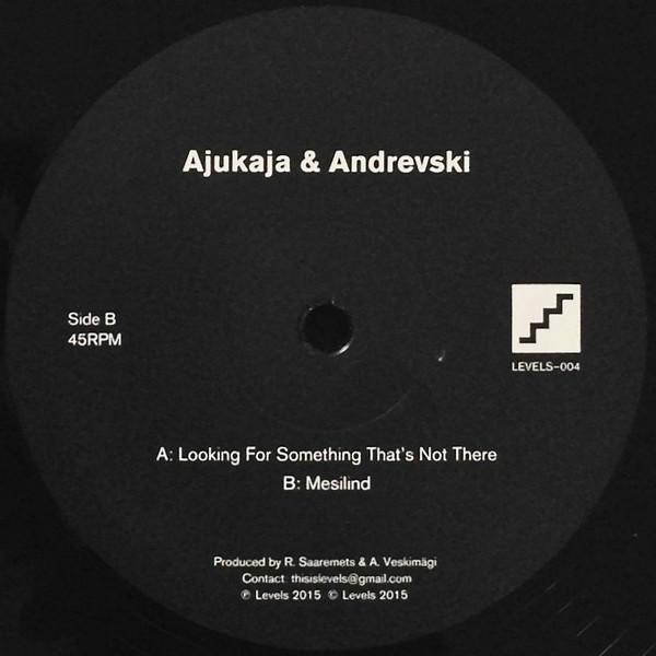 Ajukaja, Andrevski - Looking For Something That's Not There