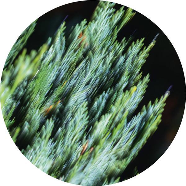 Andreas Tilliander - Ofog EP