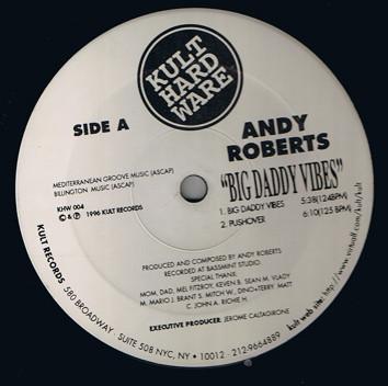Andy Roberts - Big Daddy Vibes