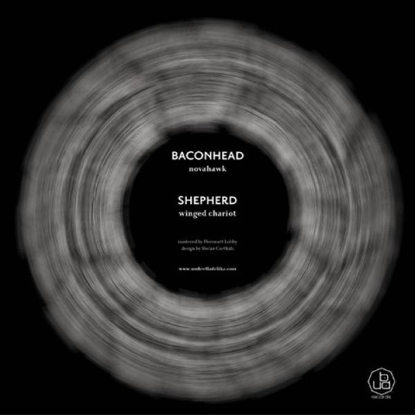Baconhead, Shepherd  - Novahawk / Winged Chariot
