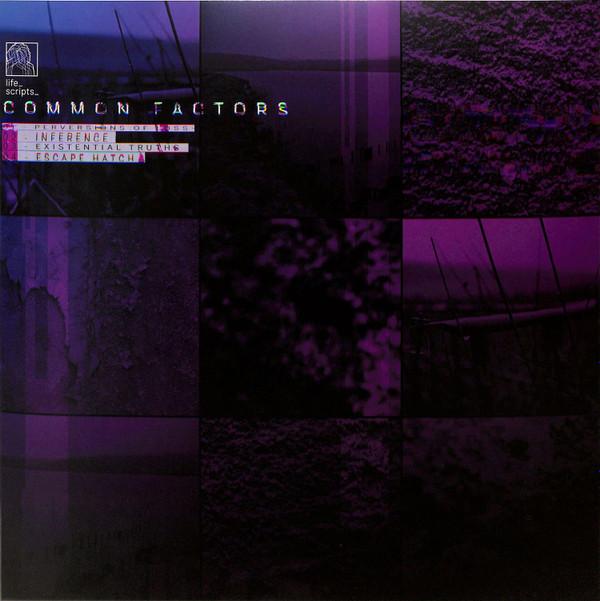 Common Factors - Perversions Of Loss
