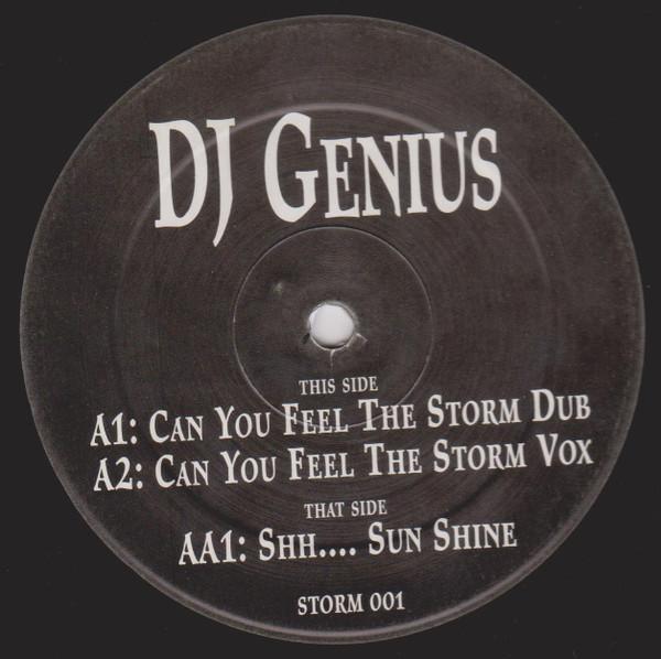 DJ Genius (2) - Can You Feel The Storm