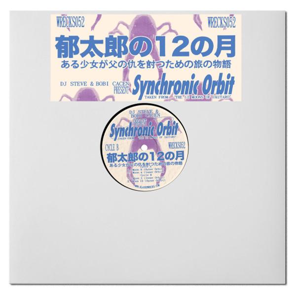DJ Steve (7) - Synchronic Orbit