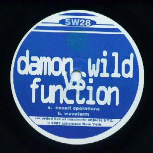 Damon Wild, Function - Covert Operations