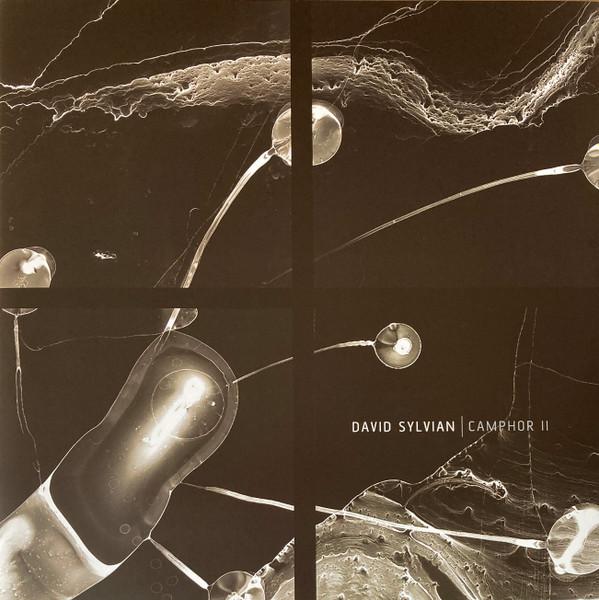 David Sylvian - Camphor II