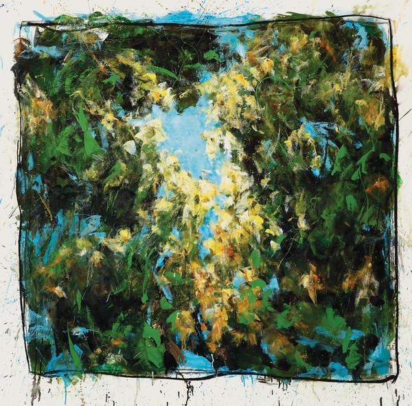 Dugong (6) - Horizons Sauvages