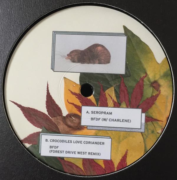 Elise (26) - Leaves From Yoyogi