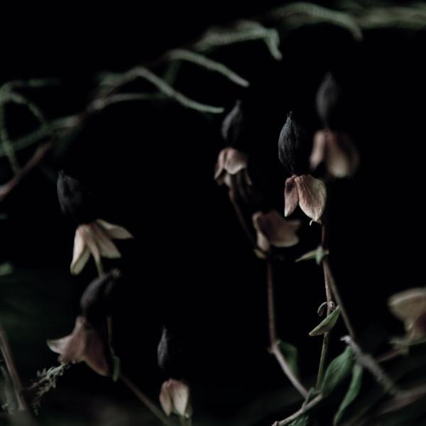 Foehn & Jerome, The Unwanted (8) - UNTLD099