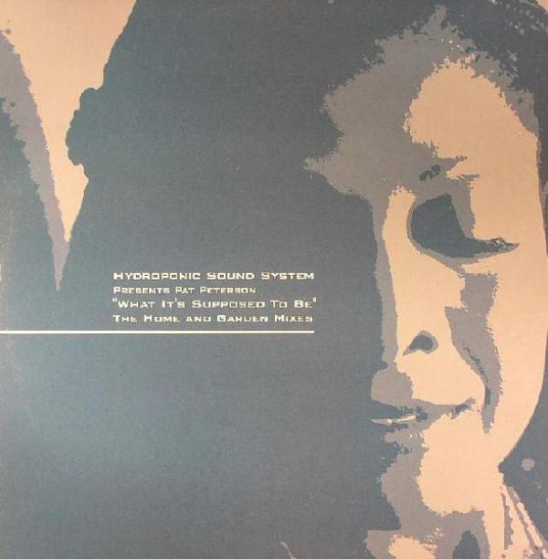 Hydroponic Sound System, Pat Peterson - What It's Supposed To Be