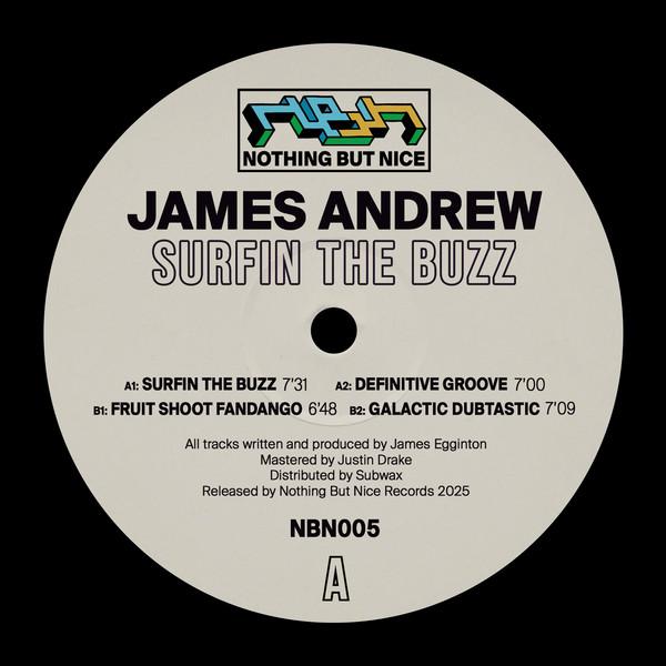 James Andrew (4) - Surfin The Buzz