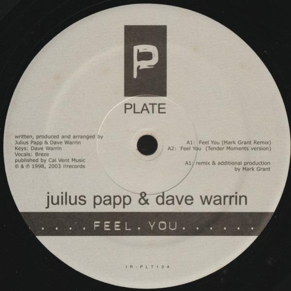 Julius Papp & Dave Warrin - Feel You