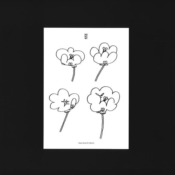 Lawrence - Poppies