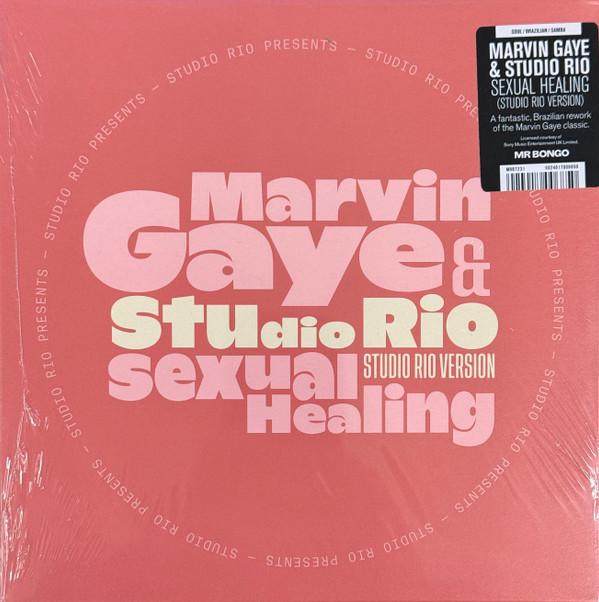 Marvin Gaye, Studio Rio - Sexual Healing (Studio Rio Version)