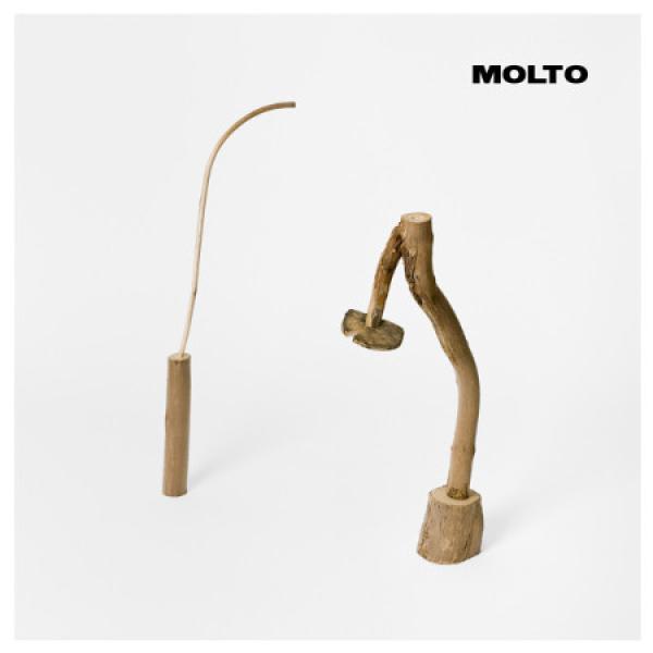 Molto  - Versatile International Service