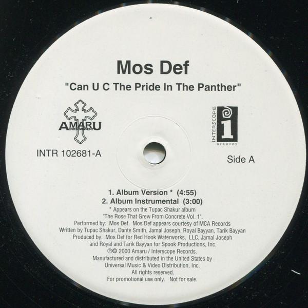 Mos Def - Can U C The Pride In The Panther