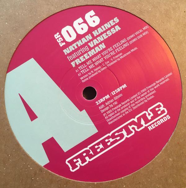 Nathan Haines, Vanessa Freeman - Tell Me What You're Feeling