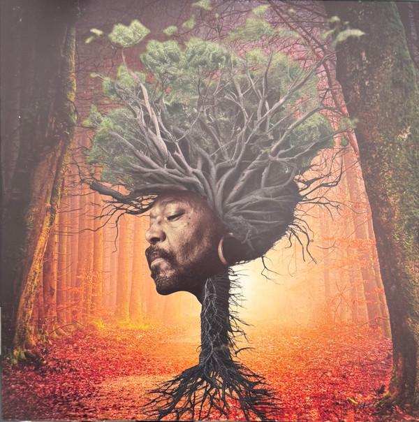 Osunlade - Inner Garden 