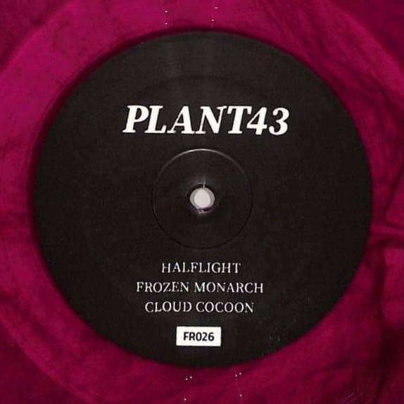 Plant43 - Frozen Monarch
