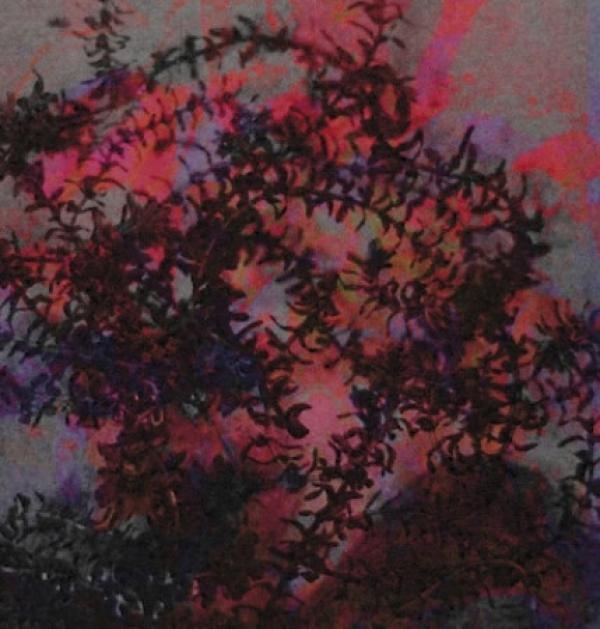 Ricardo Tobar - If I Love You