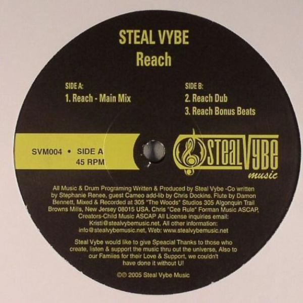 Steal Vybe - Reach