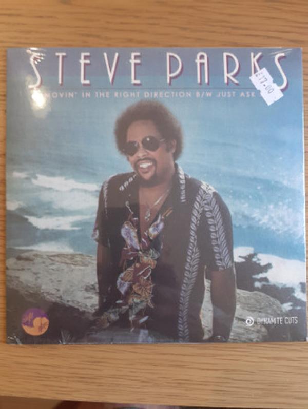 Steve Parks - Movin' In The Right Direction