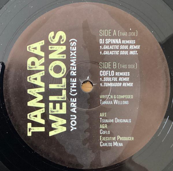 Tamara Wellons - You Are (The Remixes)