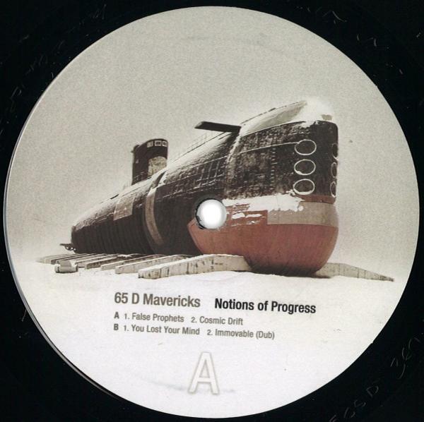 The 65D Mavericks - Notions Of Progress