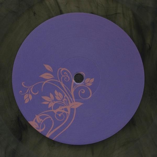 The Analog Roland Orchestra - Roden Crater Vision