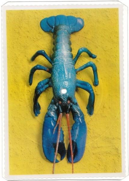 The B-52's - Rock Lobster