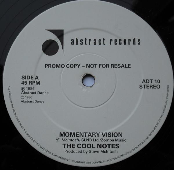 The Cool Notes - Momentary Vision