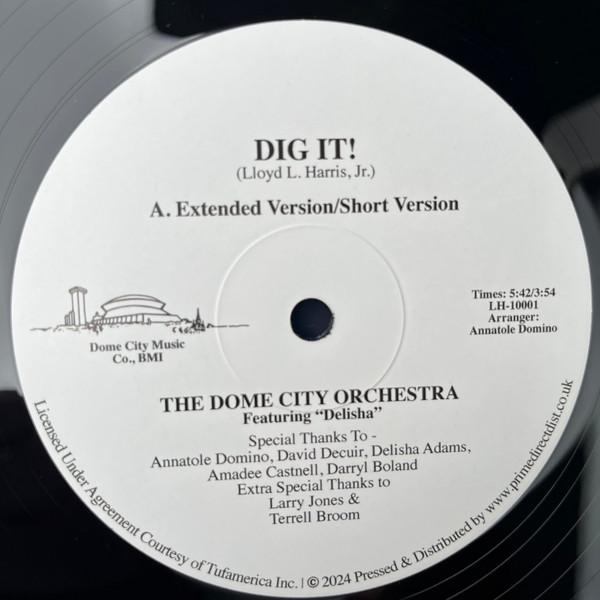 The Dome City Rock Orchestra, Delisha Adams  - Dig It!