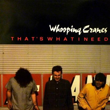 Whooping Cranes - That's What I Need