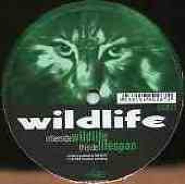 Wildlife - Wildlife / Lifespan