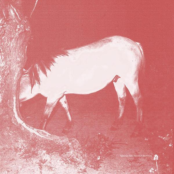 Yaleesa Hall - Woodall LP Remixes